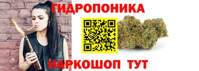 винт Партизанск