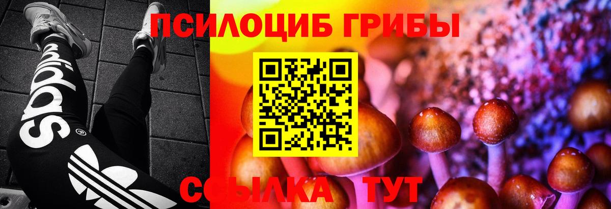 Псилоцибиновые грибы ЛСД Татарск